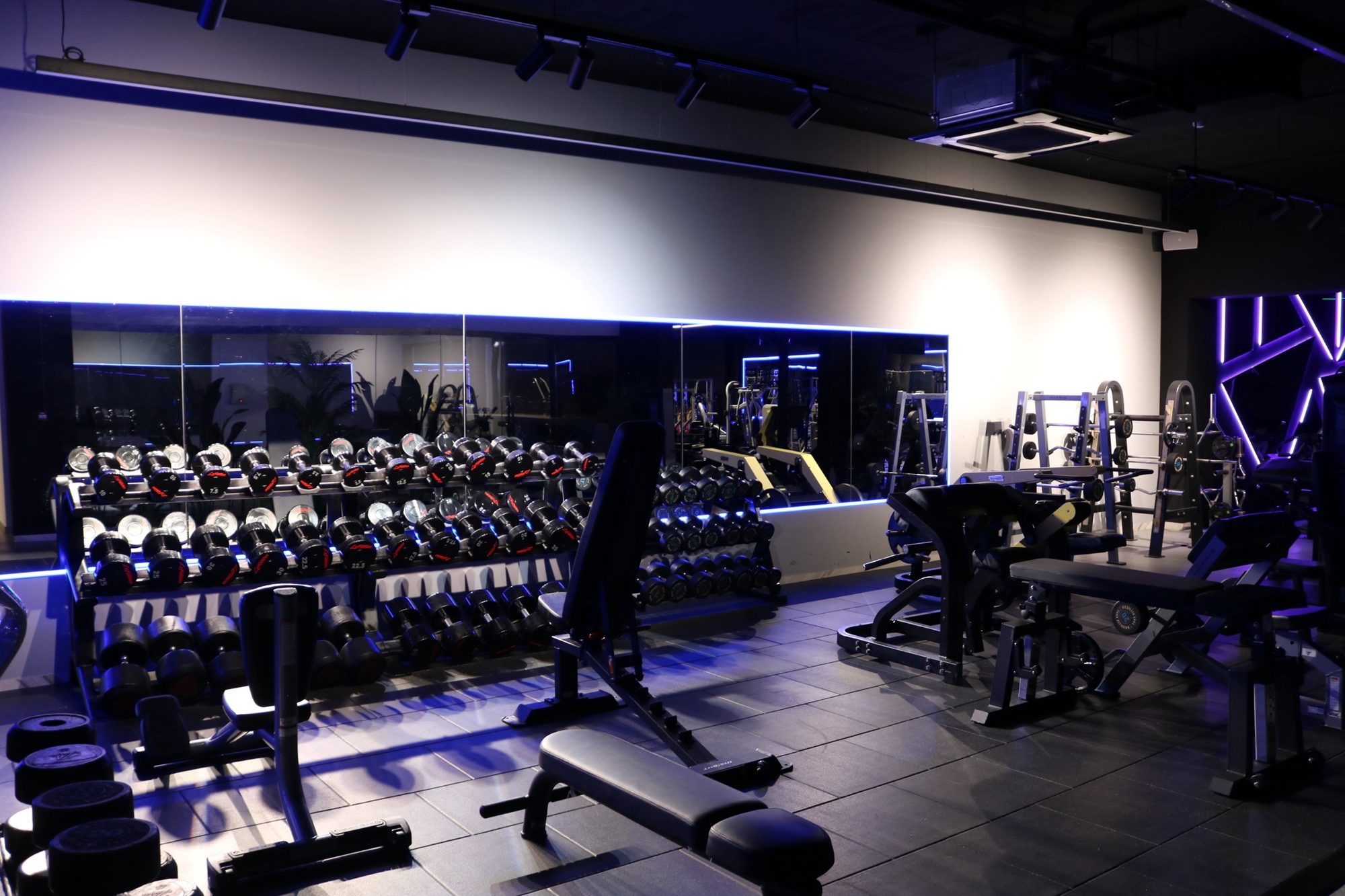 صالة النادي المختلط في Bodyfit: رفوف دمبل ومقاعد تحت إضاءة زرقاء